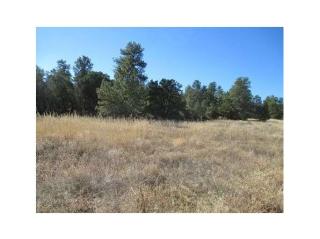 532 Prospect Rd, Cotopaxi, CO 81223