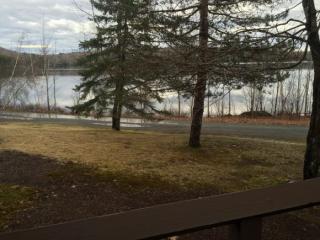 29 Bay Tree Ln, Grantham, NH 03753-5408