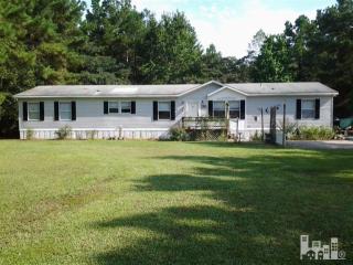 540 Dan Hales Dr, Atkinson, NC 28421-9242