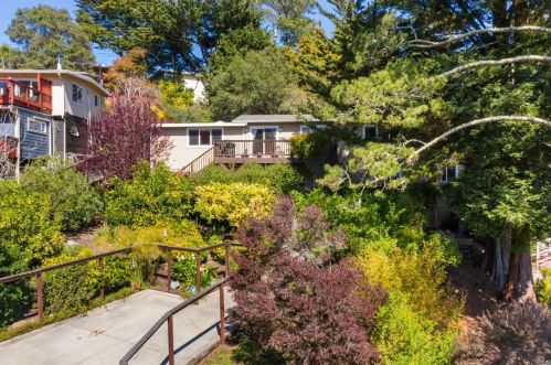 915 California Ave, Mill Valley, CA 94941-4448