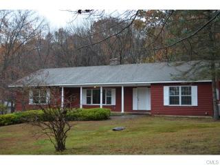109 Blueberry Hill Rd, Bridgewater, CT 06752-1306