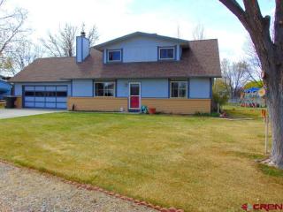 581 Cypress Wood Ln, Delta, CO