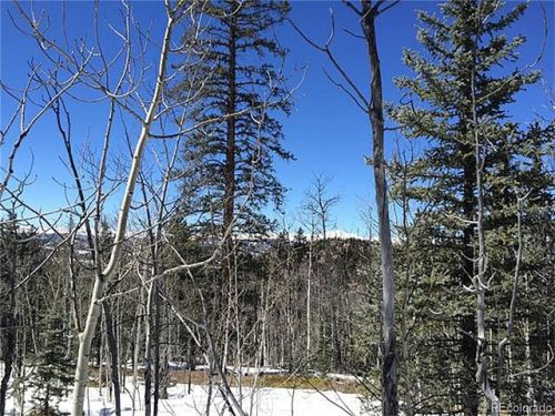585 Quiver Rd, Fairplay, CO 80456
