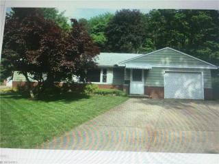 8095 Midland Rd, Concord Township, OH 44060-7525
