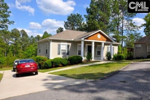 142 Excaliber Ct, Gaston, SC 29053-9744