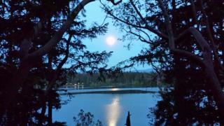 21945 Beachside Dr, Yelm, WA 98597-8920
