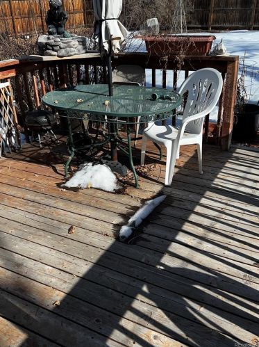 4860 Logan St, Englewood CO 80113-6843 exterior