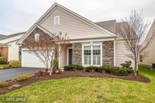 44484 Blueridge Meadows Dr, Ashburn, VA 20147-2896