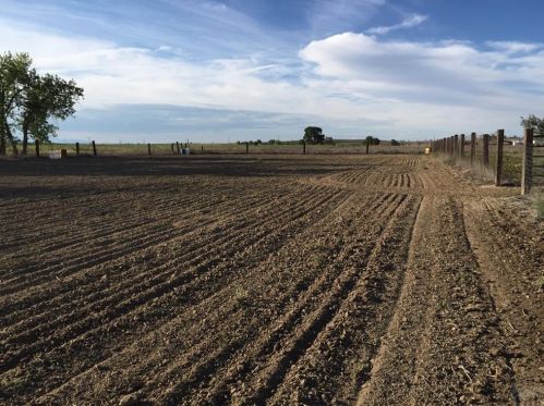 706 Avondale Blvd, Avondale CO 81022-8702 exterior