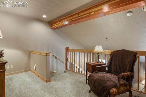 133 Elk Grove Ln, Woodland Park CO 80863-9171 exterior