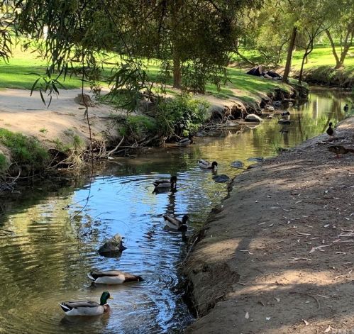 15 Sunrise, Irvine CA  92603-3719 exterior