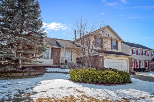 407 Claret Dr, Buffalo Grove, IL 60089-1784