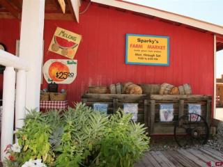 31164 Highway 92, Hotchkiss, CO 81419-7123