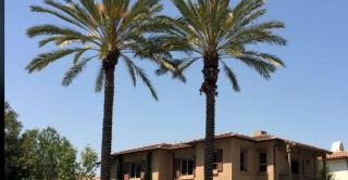 71 Sarabande, Irvine, CA 92620-3412