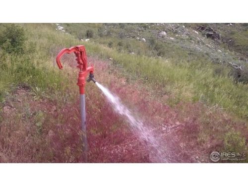 954 Turkey Roost Dr, Red Feather Lakes, CO 80536-9504