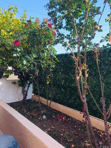 1016 Raymond Ave, Glendale CA  91201-3246 exterior