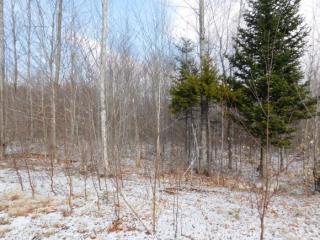 7 Marions Way, Shelburne, NH 03581-1358