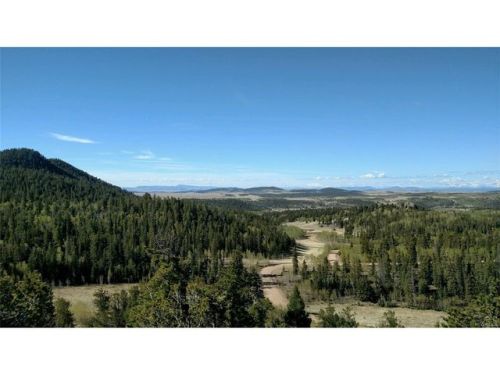 96 Longbow Dr, Fairplay, CO