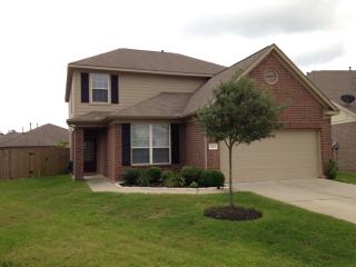 1003 Lamson Ct, Spring TX  77373-8060 exterior