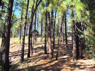 589 Forest Lakes Dr, Vallecito, CO 81122-9756