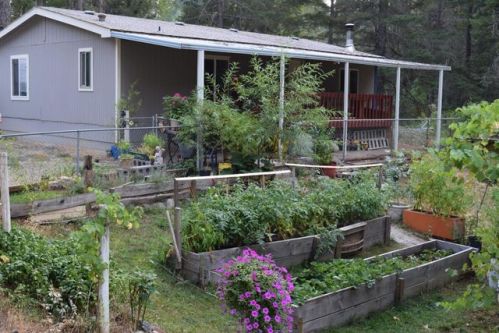 1400 Reeves Creek Rd, Selma, OR 97538-9552