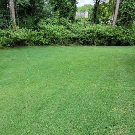 440 Andrew Ridge Dr, Jefferson GA  30549-6977 exterior