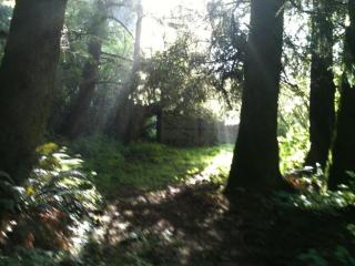 5582 Tenmile Creek Rd, Yachats, OR 97498-9700