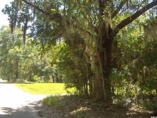 53 Prescott Rd, Gardens Corner, SC 29945-7402