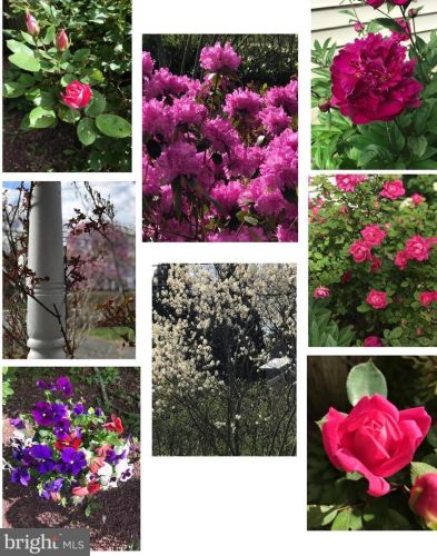 229 Mt Lucas Rd, Princeton NJ 08540-1906 exterior