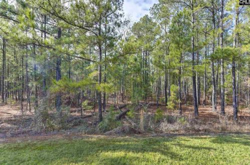 136 Peach Grv Cir, Elgin SC  29045-7116 exterior