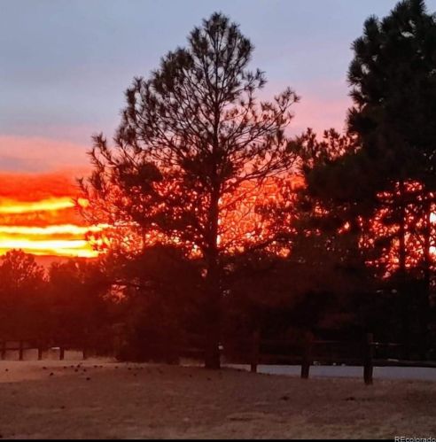 8372 Ponderosa Dr, Parker CO 80138-8231 exterior