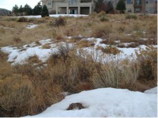 11196 Lost Arrow, Littleton CO  80125-9282 exterior