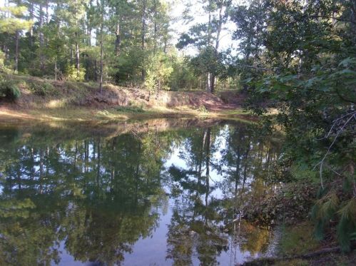 115 Stone Valley Ln, Davisboro, GA 31018-5804