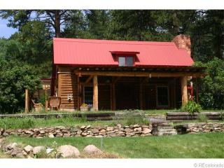 245 County Hwy 67, Deckers CO  80135-9443 exterior