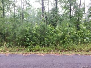 10921 Trents Bridge Rd, Chesterfield, VA 23838-4428