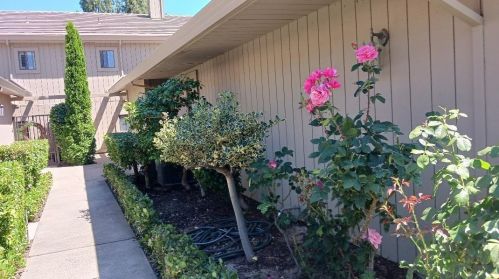7416 Del Cielo Way, Modesto, CA 95356-8851