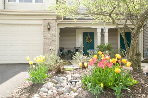 553 Lancaster Dr, Pingree Grove, IL 60140-9156