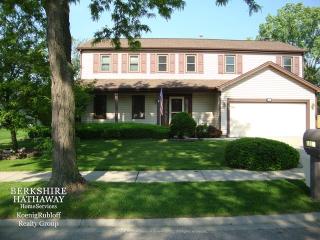 1018 Howard Dr, Schaumburg, IL 60193-4138