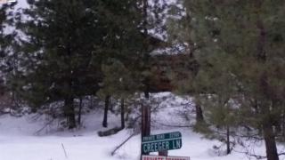 22508 Holcomb Rd, Green Bluff, WA 99021-9758