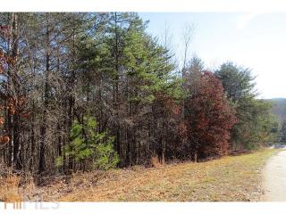 169 Rock Creek Trl, Toccoa, GA 30577