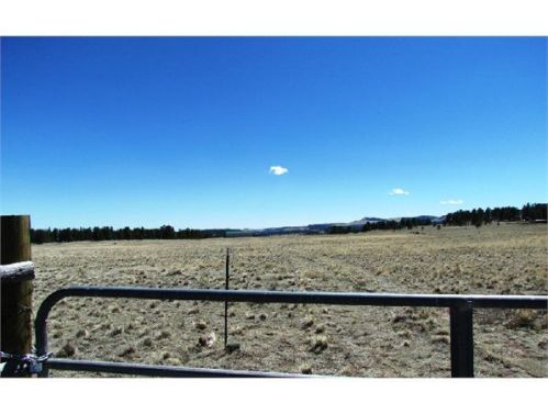 1525 Doe Valley Rd, Guffey, CO 80820-9639