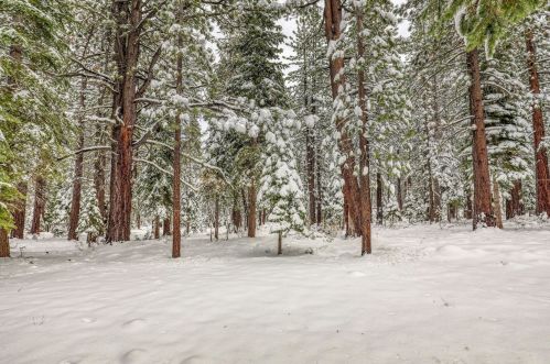 12555 Hillside Dr, Truckee CA  96161-6330 exterior
