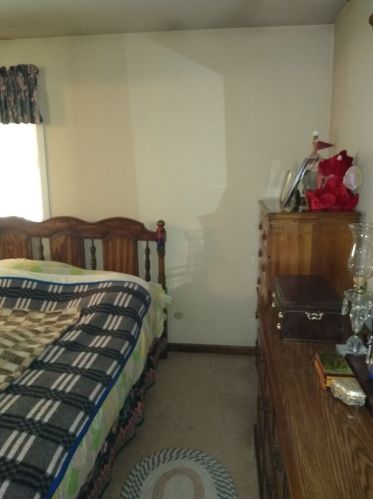 152 Larchmont Way, Lemont IL  60440-2669 exterior