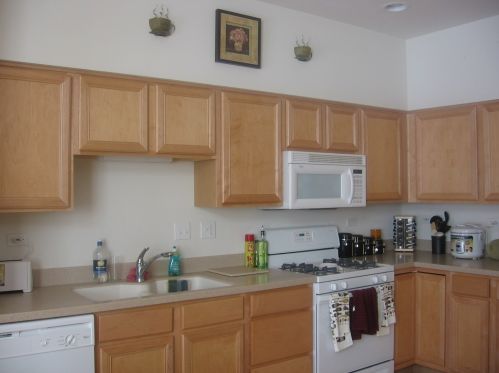 1423 Quincy Bridge Ct, Hanover Park, IL 60103-1811