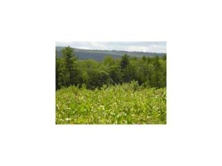 81 North Rd, Gilmanton, NH 03237-5301