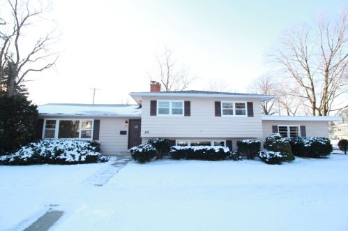 232 Tamarack Ave, Naperville, IL 60540-7941