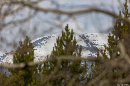 1653 Oro Grande Dr, Montezuma CO  80435-7798 exterior