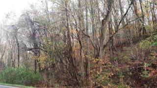 4105 Cosby Hwy, Cosby, TN 37722-2643