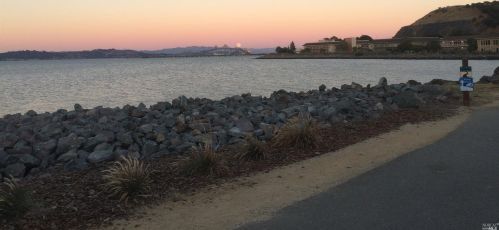 50 Sonoma St, San Rafael, CA 94901-4313