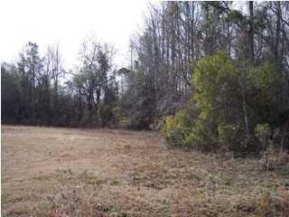 247 Sassafras Ct, Walterboro, SC 29488